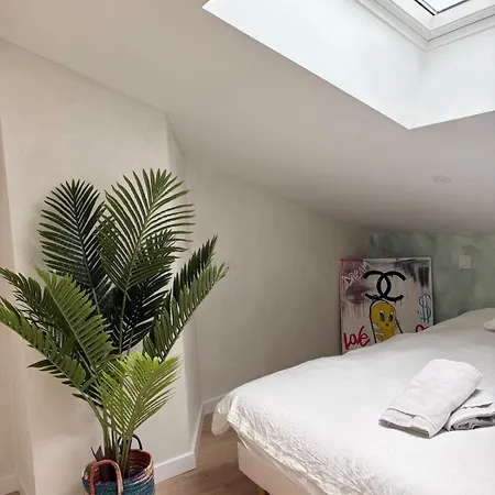 Apartment L'atelier Sous Les Toits Terrasse Parking Montauban